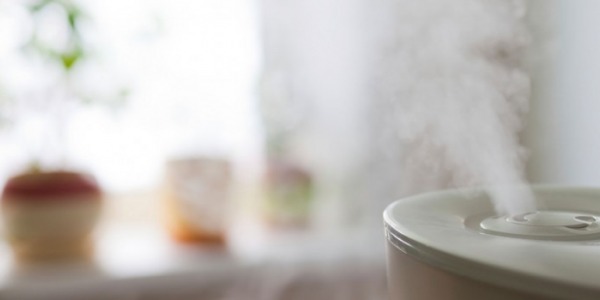 Párásítás télen: miért fontos, mikor és hogyan érdemes?